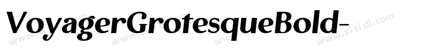 VoyagerGrotesqueBold字体转换