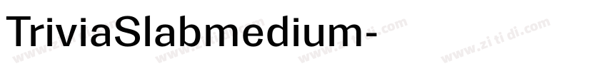TriviaSlabmedium字体转换