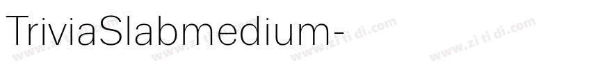 TriviaSlabmedium字体转换