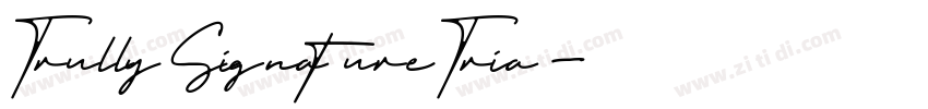 TrullySignatureTria字体转换