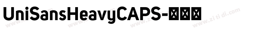 UniSansHeavyCAPS字体转换