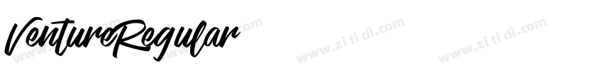 VentureRegular字体转换