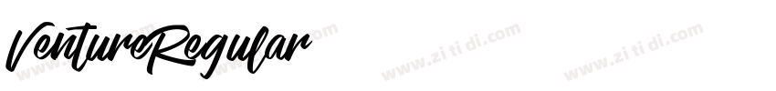 VentureRegular字体转换