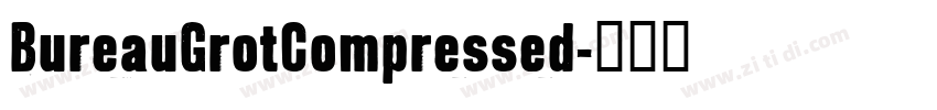 BureauGrotCompressed字体转换