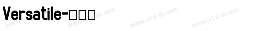 Versatile字体转换
