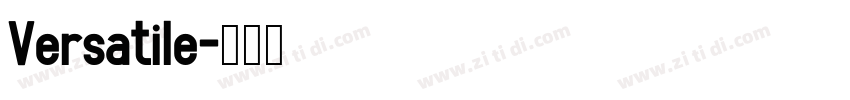 Versatile字体转换