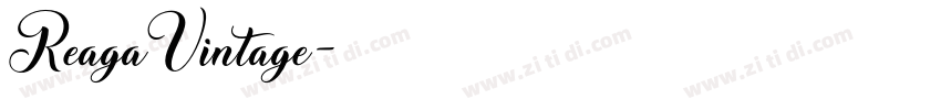 ReagaVintage字体转换