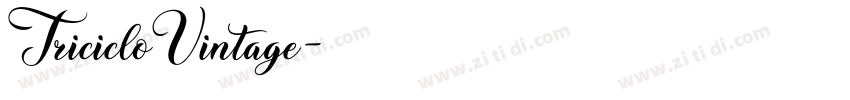TricicloVintage字体转换