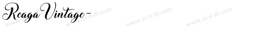 ReagaVintage字体转换