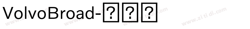 VolvoBroad字体转换