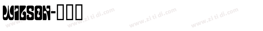 Wilson字体转换