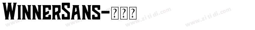 WinnerSans字体转换