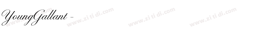 YoungGallant◆字体转换