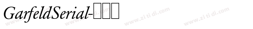 GarfeldSerial字体转换 GarfeldSerial字体转换