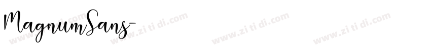 MagnumSans字体转换