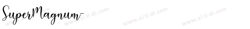 SuperMagnum字体转换