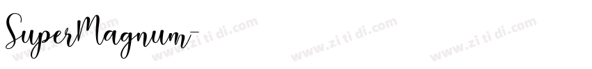 SuperMagnum字体转换