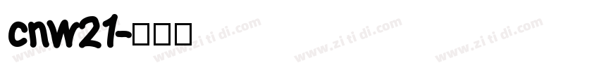 cnw21字体转换
