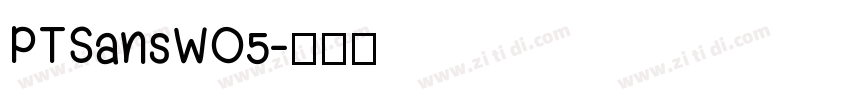 PTSansWO5字体转换