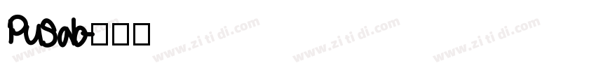 Pusab字体转换