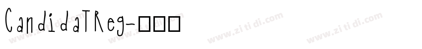 CandidaTReg字体转换