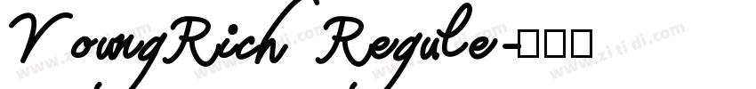 YoungRichRegule字体转换