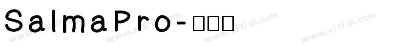 SalmaPro字体转换