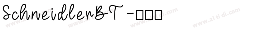 SchneidlerBT字体转换