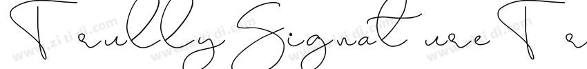 TrullySignatureTrial字体转换 TrullySignatureTrial字体转换