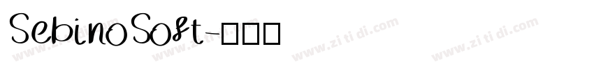 SebinoSoft字体转换