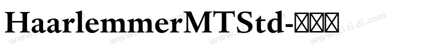 HaarlemmerMTStd字体转换