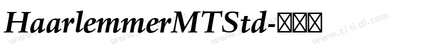 HaarlemmerMTStd字体转换