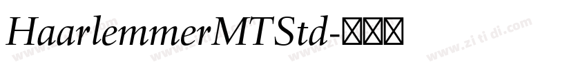HaarlemmerMTStd字体转换