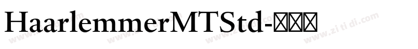 HaarlemmerMTStd字体转换