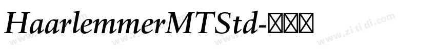 HaarlemmerMTStd字体转换