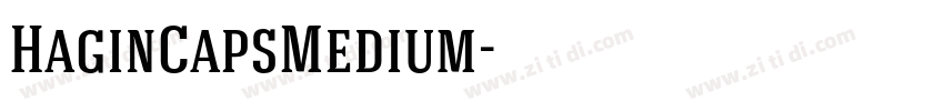 HaginCapsMedium字体转换