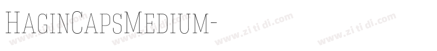 HaginCapsMedium字体转换