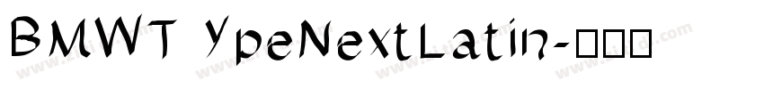 BMWTypeNextLatin字体转换