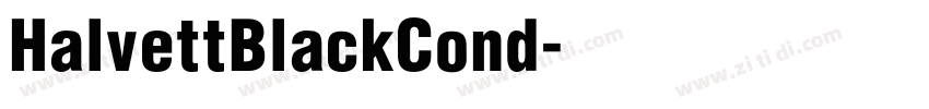 HalvettBlackCond字体转换