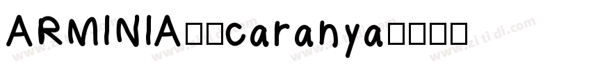 ARMINIA21caranya字体转换