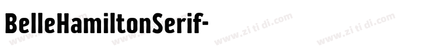 BelleHamiltonSerif字体转换