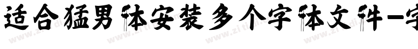适合猛男体安装多个字体文件字体转换