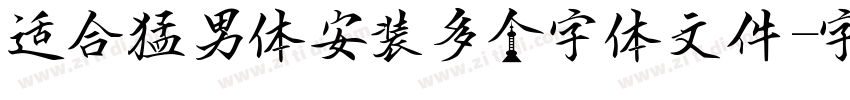 适合猛男体安装多个字体文件字体转换