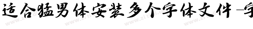 适合猛男体安装多个字体文件字体转换