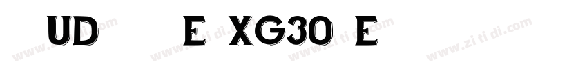 文鼎UD晶熙黑体E1XG30_E字体转换