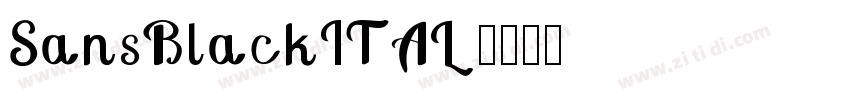 SansBlackITAL字体转换