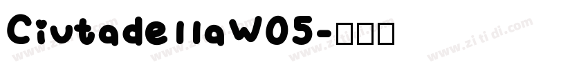 CiutadellaW05字体转换