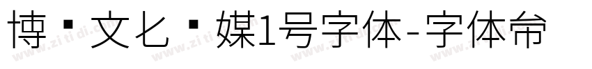 博创文化传媒1号字体字体转换