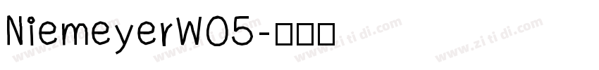 NiemeyerW05字体转换