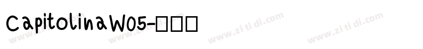 CapitolinaW05字体转换